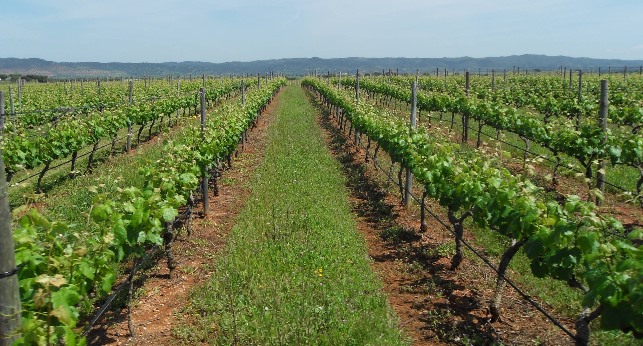 Newsletter n.&ordm; 79 - Foto 5